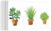 Canvas Schilderij Bloempot - Waterverf - Planten - 40x20 cm - Wanddecoratie