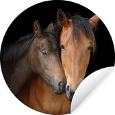 Hugging Chevaux Wall Circle papier peint autocollant 100x100 cm / cercle papier peint / cercle mural / cercle vivant - auto-adhésif et coupe ronde