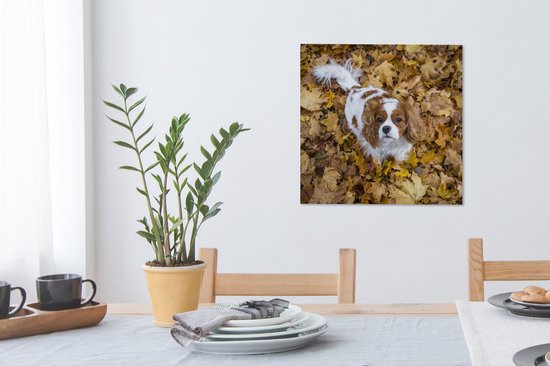 Cavalier King Charles Spaniel sous les feuilles d'automne Toile 50x50 cm - Tirage Photo sur Toile Peinture (Décoration murale Salon / Chambre) / Animaux domestiques Peintures sur Toile