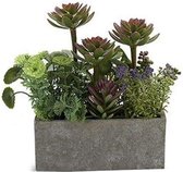 Ibergarden Plantenbak Stone 12 X 22 Cm Keramiek Groen/roze