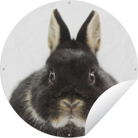 Garden Circle Lapin - Animaux domestiques - Fourrure - 60x60 cm - Affiche de Jardin Ronde - Extérieur