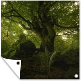 Tuinposters Groen duister bos - 50x50 cm - Tuindoek - Buitenposter