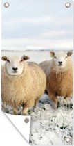 Tuinposter Groep nieuwsgierige schapen - 40x80 cm - Wanddecoratie Buiten - Tuinposter - Tuindoek - Schuttingposter - Tuinschilderij