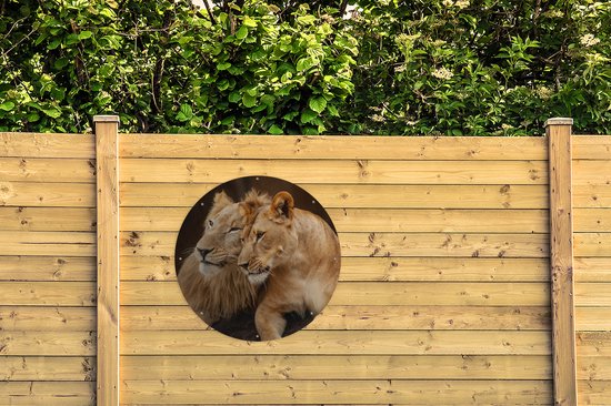 Tuincirkel Leeuwen - Bruin - Dieren - 90x90 cm - Ronde Tuinposter - Buiten