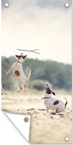 Tuinposter Hond - Tak - Zand - 40x80 cm - Wanddecoratie Buiten - Tuinposter - Tuindoek - Schuttingposter - Tuinschilderij