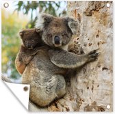 Tuinposters Koala's - Kind - Boom - Kinderen - Jongens - Meiden - 50x50 cm - Tuindoek - Buitenposter