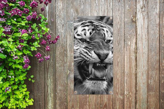 Affiche de jardin Tigre - Animaux - Zwart - Wit - 30x60 cm - Toile jardin