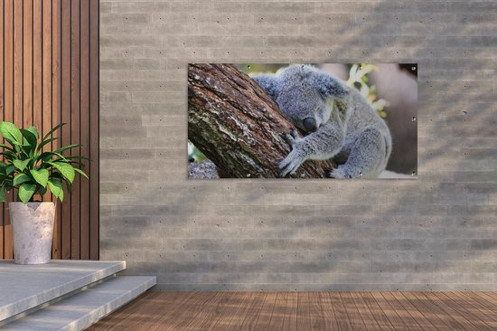 Décoration murale murale extérieure Koala - Arbre - Endormi - Enfants - Garçons - Meiden - 160x80 cm - Toile jardin - Poster extérieur