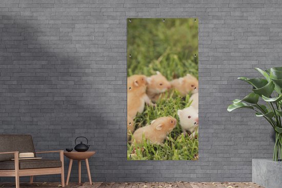 Décoration murale d'extérieur Hamster doré avec garçon - 80x160 cm - Toile de jardin - Poster extérieur
