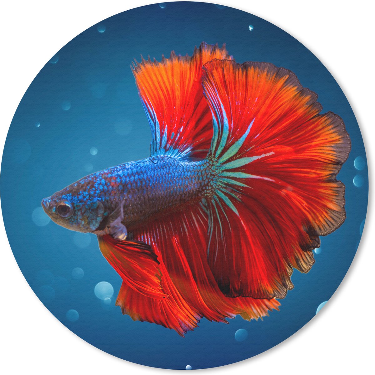 Muismat rond 20x20 cm - Mousepad Vis - Water - Rood - Ronde muismatten
