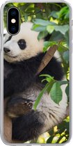 Geschikt voor iPhone X hoesje - Panda - Dier - Boom - Siliconen Telefoonhoesje
