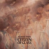 Citizen Of Glass (LP)