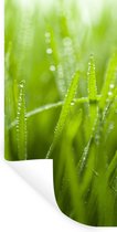 Stickers Stickers muraux - Premières gouttes de rosée sur l'herbe - 80x160 cm - Film adhésif