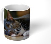 Mok - Katten - Vloer - Zwart - 350 ML - Beker