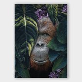 Poster Jungle Orangutan - Dibond - 70x100 cm - Meerdere Afmetingen & Prijzen | Wanddecoratie - Interieur - Art - Wonen - Schilderij - Kunst