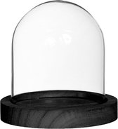 Glazen stolp met zwart houten basis Ø10cm (1 st.)