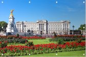 Gazon in bloei voor het Buckingham Palace in Londen - Foto op Tuinposter - 120 x 80 cm