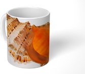 Mok - Schelp - Zee - Strand - 350 ML - Beker