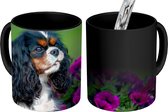 Magische Mok - Foto op Warmte Mok - Cavalier King Charles-spaniël met paarse bloemen - 350 ML