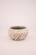 - planter cement ø16x8.5cm - light grey - 16x85x