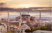 De wereldberoemde moskee Hagia Sophia in Istanbul - Foto op Forex - 45 x 30 cm