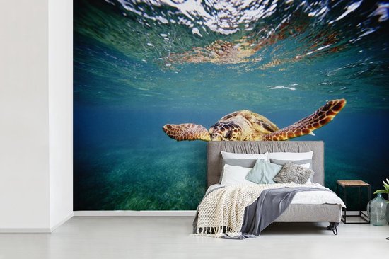Behang - Fotobehang Schildpad - Water - Blauw - Breedte 525 cm x hoogte 350 cm