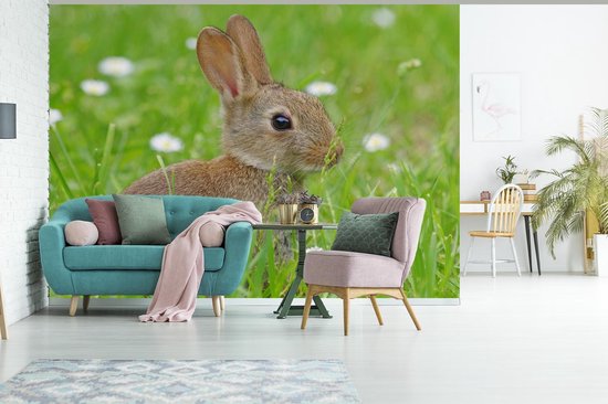 Papier Peint - Papier Papier peint photo Lapin - Fleurs - Herbe - Largeur 375 cm x Hauteur 300 cm