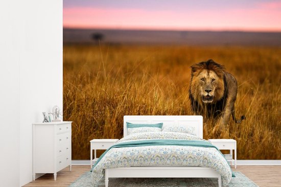 Papier peint Papier peint photo en vinyle - Lion dans la savanne largeur 360 cm x hauteur 260 cm - Tirage photo sur papier peint (disponible en 7 tailles)