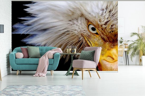 Papier peint Papier peint photo en vinyle - Oeil de l'aigle sur fond noir largeur 390 cm x hauteur 260 cm - Tirage photo sur papier peint (disponible en 7 tailles)