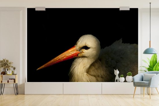 Papier peint Papier peint photo en vinyle - Portrait photo oiseau sur fond noir largeur 360 cm x hauteur 240 cm - Tirage photo sur papier peint (disponible en 7 tailles)