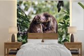 Vinyle peinture murale Papier peint photo - famille Singe sur une branche largeur 240 cm x hauteur 240 cm - photo impression sur fond d' écran (disponible en 7 tailles)