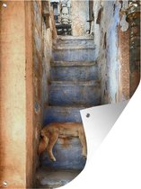 Tuin decoratie Slapende hond op trap - 30x40 cm - Tuindoek - Buitenposter