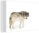 Canvas Schilderij Wolf - Sneeuw - Winter - 90x60 cm - Wanddecoratie
