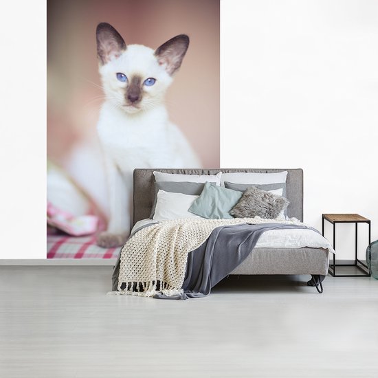 Behang - Fotobehang Witte Siamese kat op een tafelkleed - Breedte 180 cm x hoogte 280 cm