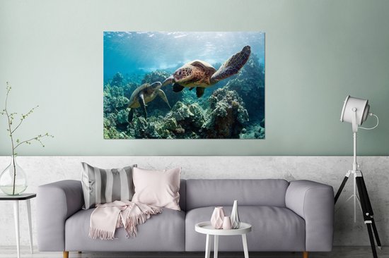 Wanddecoratie Metaal - Aluminium Schilderij Industrieel - Twee zeeschildpadden - 120x80 cm - Dibond - Foto op aluminium - Industriële muurdecoratie - Voor de woonkamer/slaapkamer
