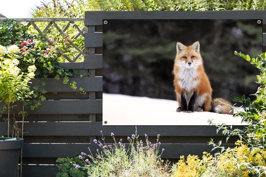 Poster Renard roux dans la neige Jardin 120x80 cm - Toile de jardin / Toile d'extérieur / Peintures d'extérieur (décoration de jardin)