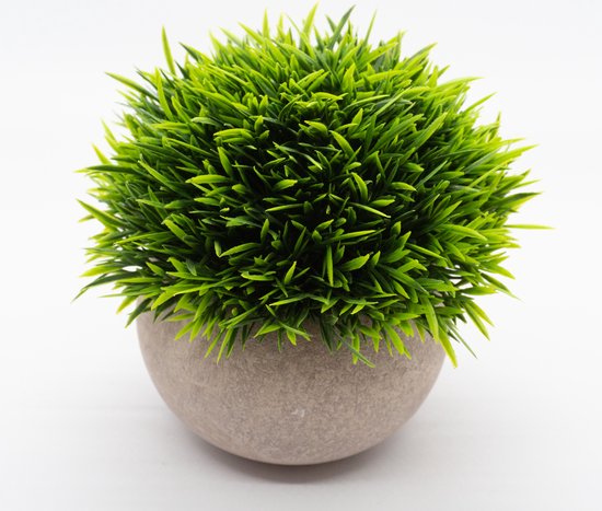 Bamboe kunstplant kopen | Net echte planten