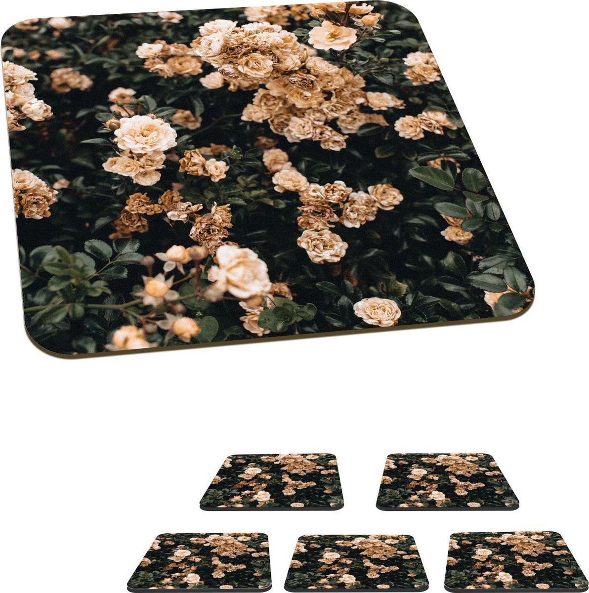 Onderzetters voor glazen - Rozen - Struik - Bruin - Wit - 10x10 cm - Glasonderzetters - 6 stuks