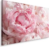 Peinture - pivoines roses, 4 tailles, impression premium