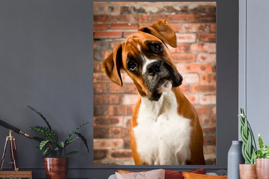 Stickers muraux - Film autocollant - Boxer regarde en diagonale vers la caméra - 120x160 cm - Film adhésif - Stickers muraux chambre d'enfant - Papier peint autocollant XXL - Papier peint autocollant - Film autocollant