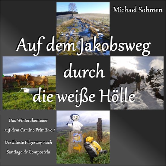 Auf dem Jakobsweg durch die weiße Hölle - cover