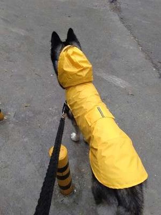Honden Regenjas Zwart - Honden Poncho - Maat XL (ruglengte 40cm)