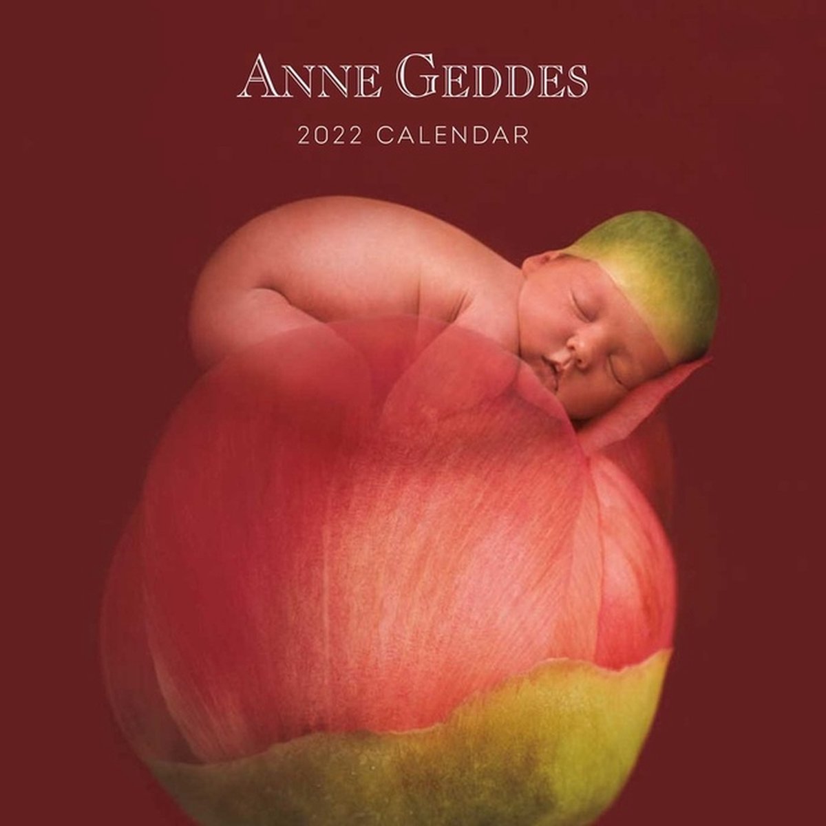 Anne Geddes Kalender 2022