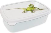 Broodtrommel Wit - Lunchbox - Brooddoos - Hagedis - Reptiel - Wit - 18x12x6 cm - Volwassenen