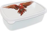 Lunch box Wit - Lunch box - Boîte à pain - Ara - Vogel - Ressorts - Wit - 18x12x6 cm - Adultes - Cadeau Sinterklaas - Distribution cadeaux pour enfants - Chaussures cadeaux Sinterklaas