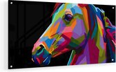 Artaza Glasschilderij - Kleurrijke Paardenkop - Paard - Abstract - 60x30 - Klein - Plexiglas Schilderij - Foto op Glas