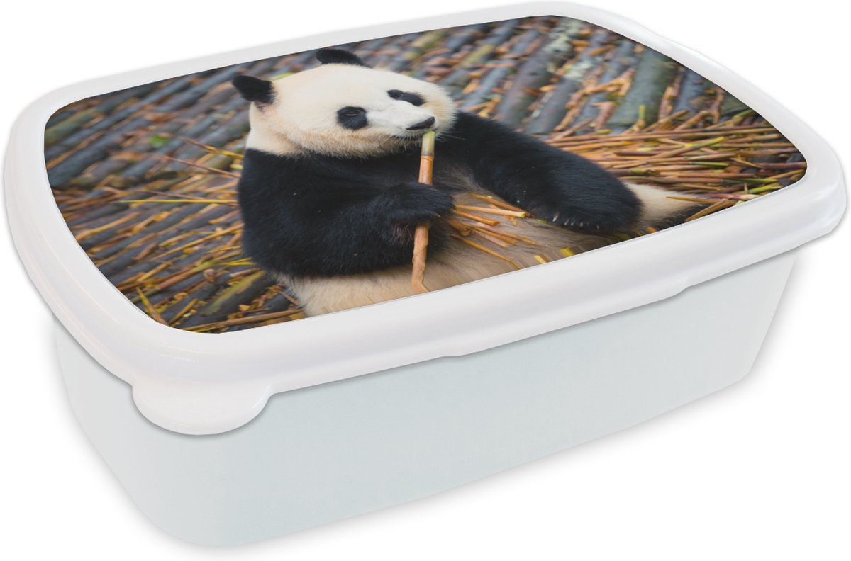 Broodtrommel Wit - Lunchbox - Brooddoos - Reuzepanda - Bamboe - Bladeren - 18x12x6 cm - Volwassenen