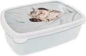 Broodtrommel Wit - Lunchbox Kitten - Bed - Poten - Meisjes - Kinderen - Jongens - Kind - Brooddoos 18x12x6 cm - Brood lunch box - Broodtrommels voor kinderen en volwassenen
