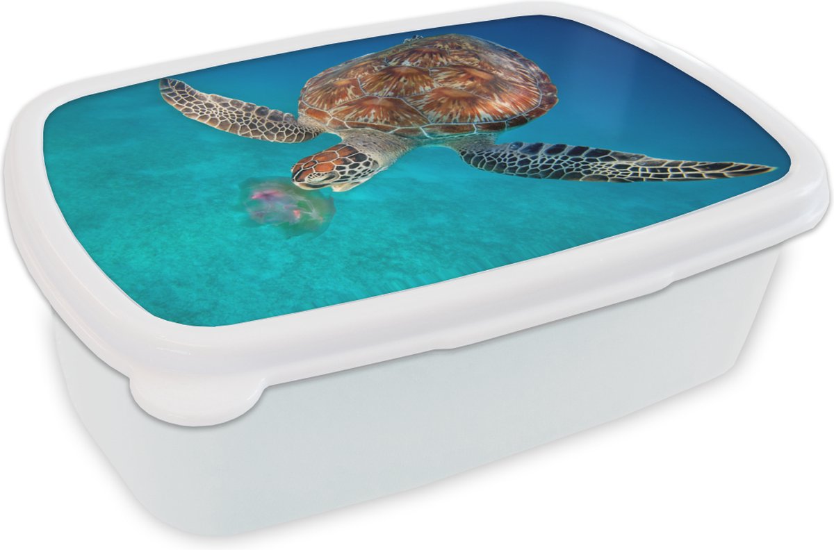 Broodtrommel Wit - Lunchbox - Brooddoos - Groene schildpad met kwal - 18x12x6 cm - Volwassenen