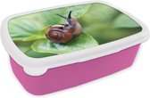 Broodtrommel Roze - Lunchbox - Brooddoos - Slak op blad - 18x12x6 cm - Kinderen - Meisje